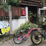 Half-day Ping River and rice paddies E-bike adventure (flat land, GUIDED) - Authenticity and Quality of the Experience