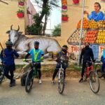 Half-Day Premium Delhi Heritage Cycling Tour - An Illustrious Tryst with time - Practical Tips for Your Tour