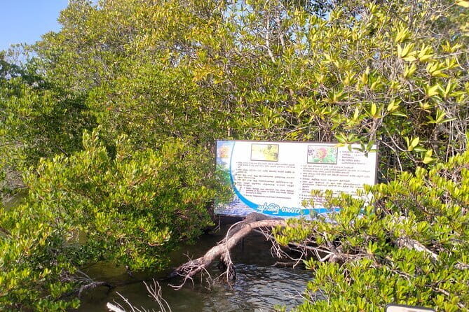 Half Day Private Exploration of the Beauty of Southern Coast - Practical Details and What You Can Expect