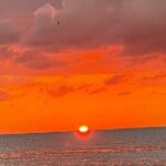 Half Day Private Fishing Trip with Site Seeing Around Anna Maria Island - The Sum Up