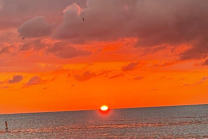 Half Day Private Fishing Trip with Site Seeing Around Anna Maria Island - The Sum Up