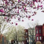 Half-Day Private Guided Bike Tour in Washington - Exploring Washington DC on Two Wheels: An In-Depth Review