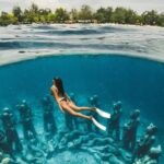 Half-Day Private Guided Snorkeling Turtles Underwater Statues - What’s Included and How It Works