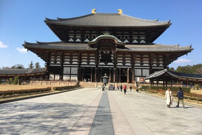 Half-Day Private Guided Tour to Nara City - Exploring Nara in Four Hours: A Detailed Breakdown