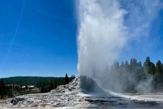 Half Day Private in Yellowstone Geyser Basin Tour - Who Should Consider This Tour?