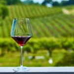 Half-Day Private Niagara County Wine Tour Experience - Why You Should Consider This Tour