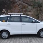 Half-Day Private Sightseeing tour to Wildlife SOS from Agra - A Closer Look at the Wildlife SOS Tour: What to Expect