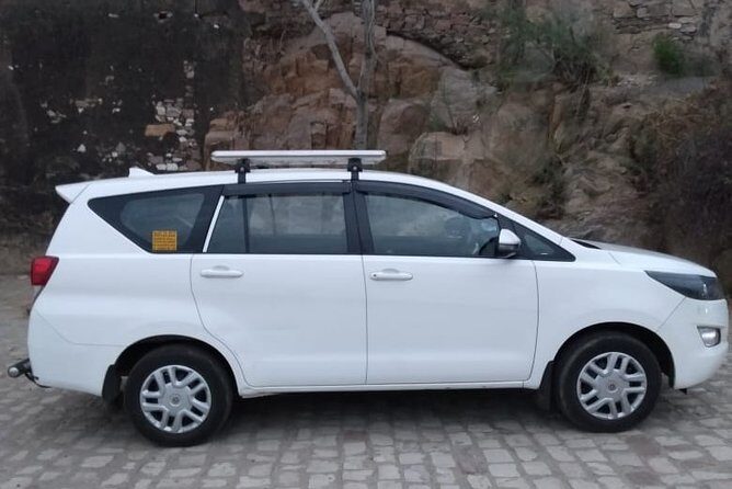 Half-Day Private Sightseeing tour to Wildlife SOS from Agra - A Closer Look at the Wildlife SOS Tour: What to Expect