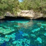 Half Day Private Snorkeling with Turtles and Majestic Cenotes - A Deep Dive Into the Experience