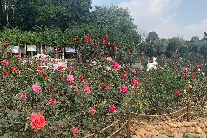 Half Day Private Tour to Yuntai Garden and Baiyun Mountain in Guangzhou - Why This Tour Offers Good Value and Authentic Experiences