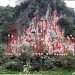 Half Day Rock Climbing on Cat Ba island - Who Will Love This Tour?