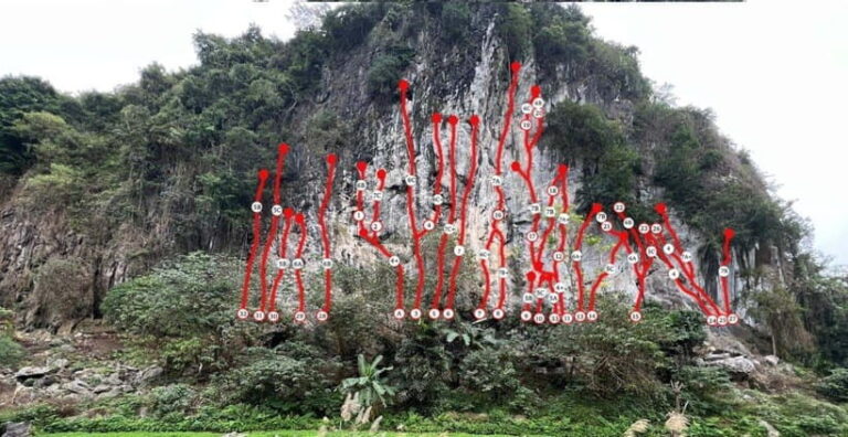 Half Day Rock Climbing on Cat Ba island - Who Will Love This Tour?