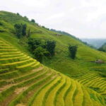 Half Day Sapa Trekking to Visit Lao Chai - Ta Van - The Trek to Lao Chai Village