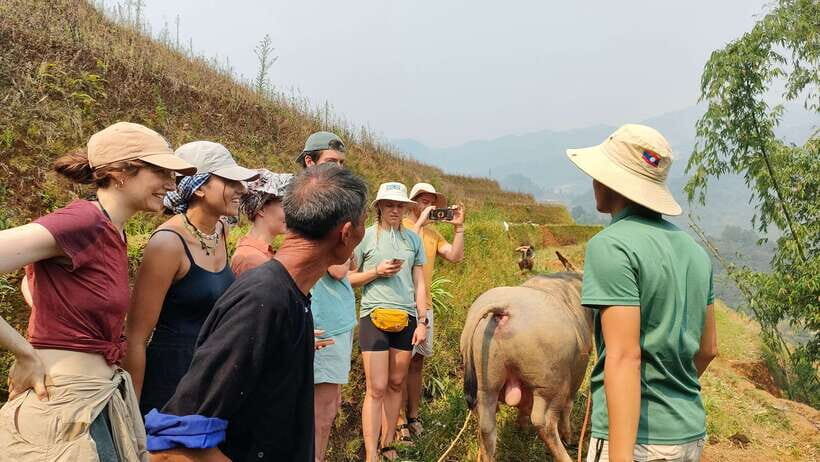 Half day Seasonal Job Experience private tour Mu Cang Chai - Who Should Consider This Tour?