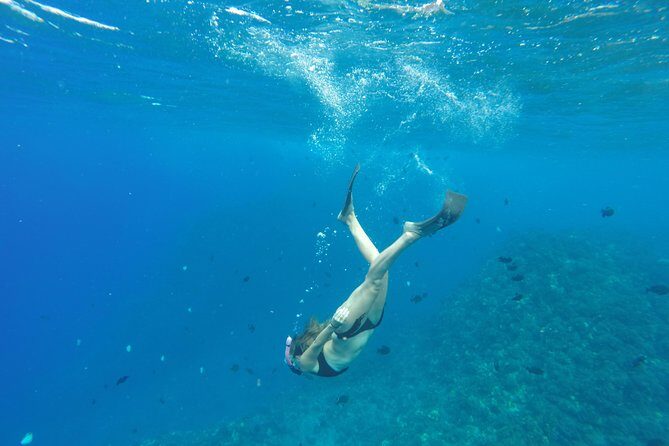 Half Day Snorkel to Lanai from Kaanapali Beach + Dolphin Search