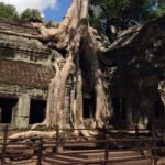 Half-Day Ta Prohm and Banteay Kdei Tour - Key Points