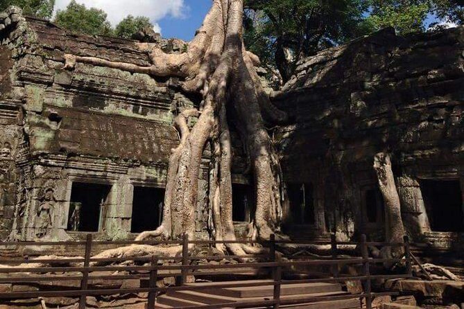 Half-Day Ta Prohm and Banteay Kdei Tour - Key Points