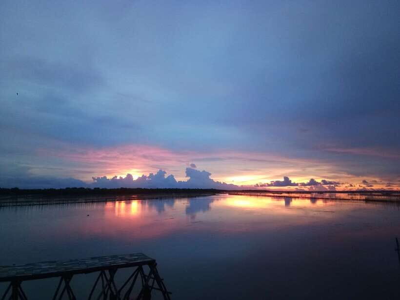Half-day Tam Giang Lagoon Adventure And Fishermans Feast - The Experience in Detail: What You Can Expect