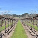 Half Day Tour - What’s Included and What’s Not