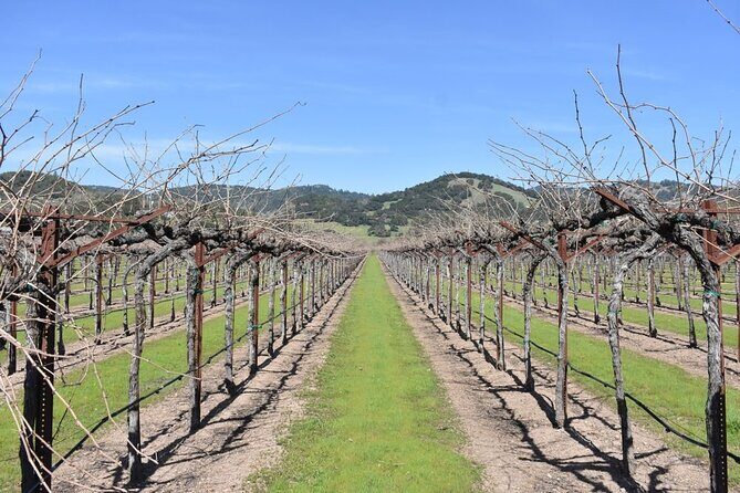 Half Day Tour - What’s Included and What’s Not