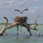 Half-Day Tour Discovering Sian Ka´an with Lunch - FAQ