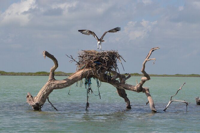 Half-Day Tour Discovering Sian Ka´an with Lunch - FAQ