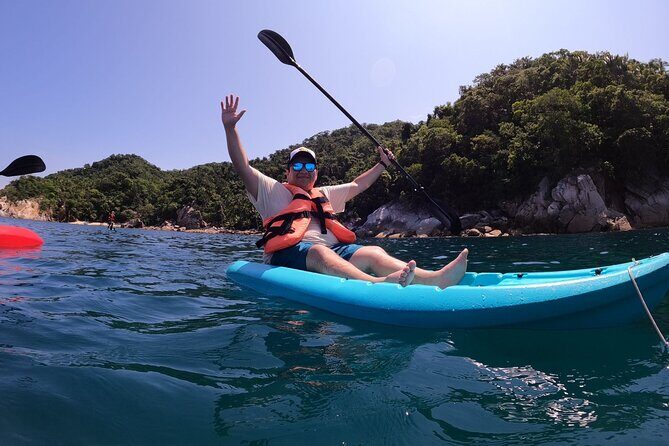 Half Day Tour with Snorkeling in Colomitos and Playa las Animas - In-Depth Review of the Tour Experience