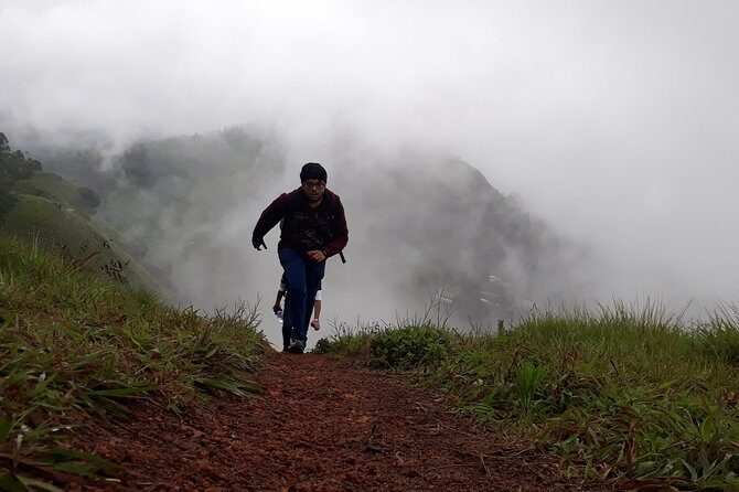 half day trekking - The Details of the Munnar Trek Experience