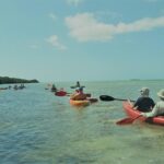 Half-Day Trip from Key West with Kayaking, Snorkeling & Sunset - Why This Tour Offers Good Value
