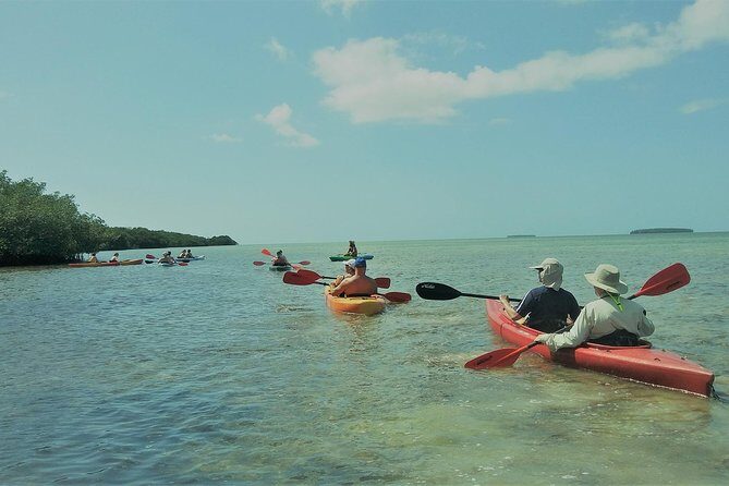 Half-Day Trip from Key West with Kayaking, Snorkeling & Sunset - Why This Tour Offers Good Value