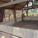 Half Day Trip to S21 Prison Genocidal Museum & Killing Field - Why This Tour Works and Who It’s For