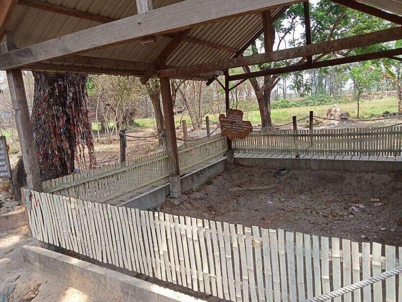 Half Day Trip to S21 Prison Genocidal Museum & Killing Field - Why This Tour Works and Who It’s For