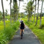 Half-Day Ubud Electric Cycling Tour to Tirta Empul Water Temple - What Makes This Tour a Great Choice?