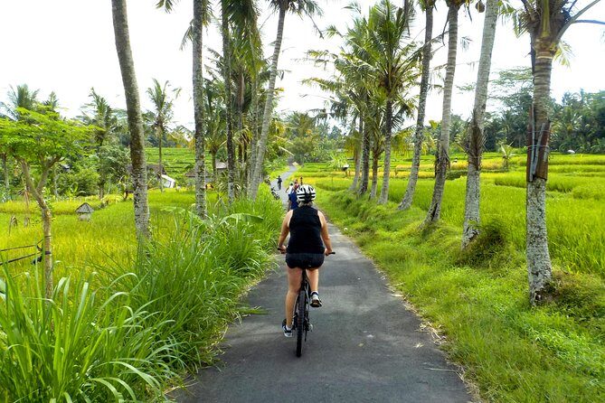 Half-Day Ubud Electric Cycling Tour to Tirta Empul Water Temple - What Makes This Tour a Great Choice?