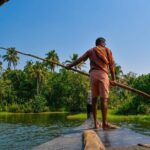 Half Day Village Houseboat Tour (from Cruise terminal in Kochi) - Why This Tour Stands Out