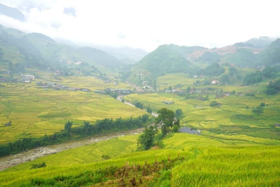 Half Day Visit Y Linh Ho,Lao Chai,Ta Van Trekking With Lunch - Authenticity, Value, and Practicality