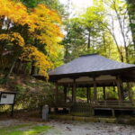 Half-Day Walking Tour: Takayama's Hidden Gems & Temple Walk - Practical Tips for Your Visit