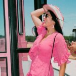 Half-Day Winery Tour in Fredericksburg - A Genuine Look at the Experience