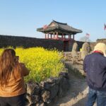 Half or Day Tour For Cruise customers arriving at Gangjeong Port - Authentic Experiences That Add Value