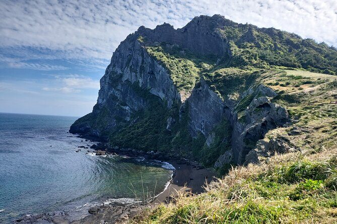 Half or Day Tour For Cruise customers arriving at Jeju City Port - Who Would Love This Tour?