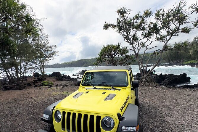Half way to Hana Maui Open Air Jeep Private Tour - Exploring Mauis Road to Hana: An in-depth look