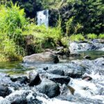 Halfway to Hana Private Tour Maui BlackBeach Waterfalls Turtles - The Practicalities: What to Expect