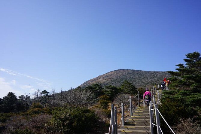 Hallasan Seongpanak transfer,One way, Round trip - Who Should Book This Tour?