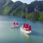 Halong Amazing Sail Luxury 1 Day Small Group Tour 7-Hour Cruising - Is This Tour Worth It?