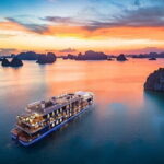 Halong Bay Guided Tour from Hanoi - Who Is This Tour Best For?