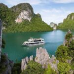 Halong Bay Luxury Cruise Day Trip: Buffet lunch & Limousine bus - Who Should Book This Tour?