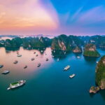 Halong Bay One Day Tour Included Bus - What Makes This Tour Stand Out?