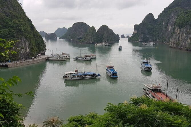 Halong Bay Shore Excursion: Full Day Cruise Tour from Cruise Port - Why This Tour Works Well