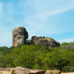 Hambantota Shore Excursion: Village and Cultural tour - Why This Tour Matters for Travelers