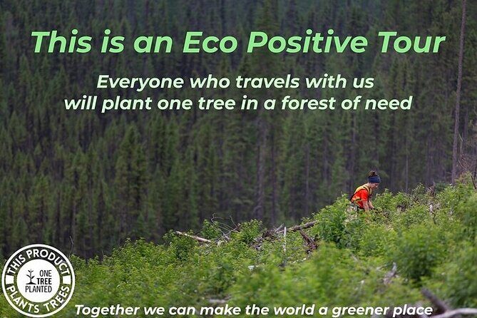 Hamptons, Sag Harbor & Outlet Shopping, 1-Day Tour from NYC - The Sum Up